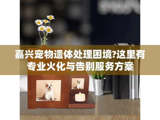 嘉兴宠物遗体处理困境?这里有专业火化与告别服务方案
