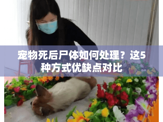 宠物死后尸体如何处理？这5种方式优缺点对比