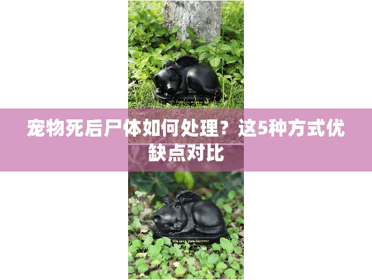 宠物死后尸体如何处理？这5种方式优缺点对比