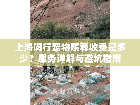 上海闵行宠物殡葬收费是多少？服务详解与避坑指南