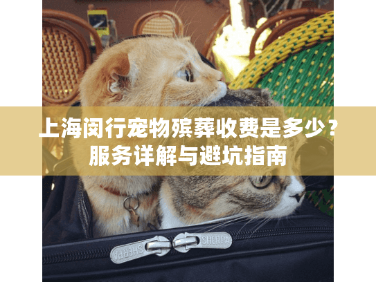 上海闵行宠物殡葬收费是多少？服务详解与避坑指南