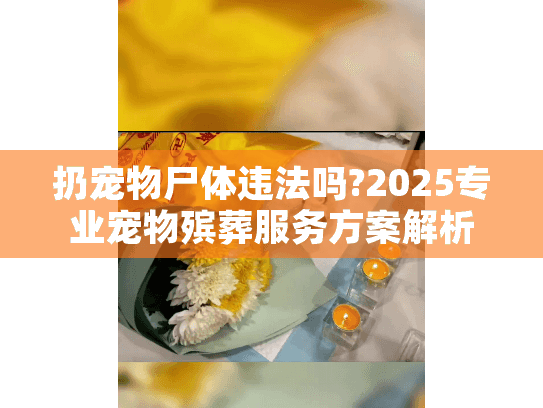 扔宠物尸体违法吗?2025专业宠物殡葬服务方案解析
