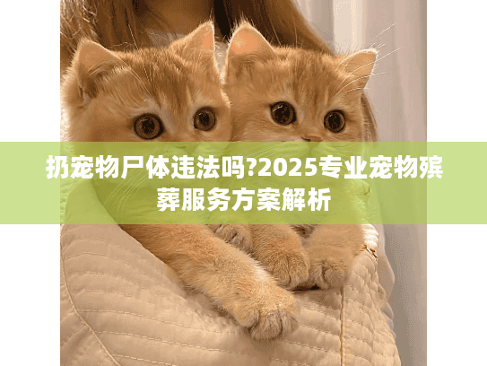 扔宠物尸体违法吗?2025专业宠物殡葬服务方案解析