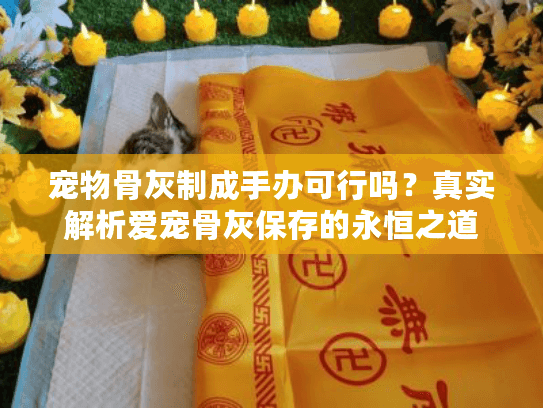 宠物骨灰制成手办可行吗？真实解析爱宠骨灰保存的永恒之道