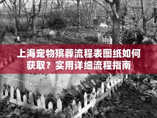 上海宠物殡葬流程表图纸如何获取？实用详细流程指南