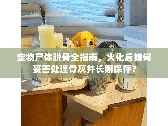 宠物尸体脱骨全指南，火化后如何妥善处理骨灰并长期保存？
