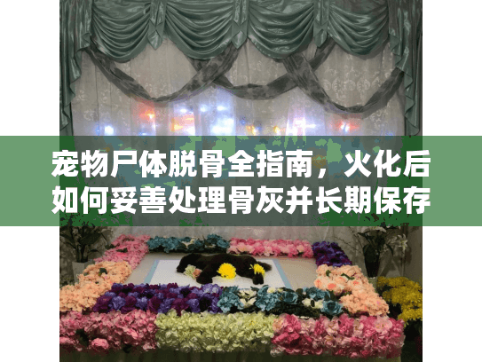 宠物尸体脱骨全指南，火化后如何妥善处理骨灰并长期保存？