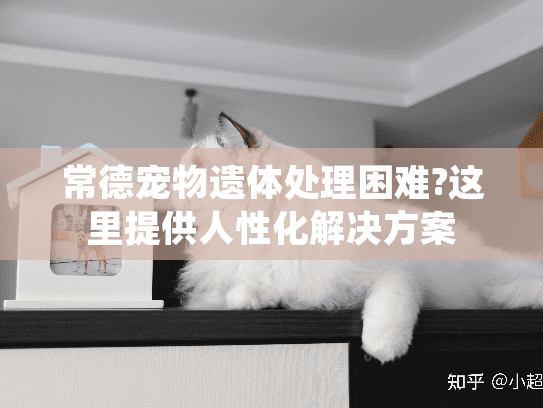 常德宠物遗体处理困难?这里提供人性化解决方案