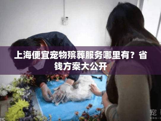 上海便宜宠物殡葬服务哪里有？省钱方案大公开