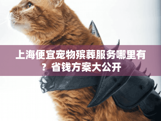 上海便宜宠物殡葬服务哪里有？省钱方案大公开