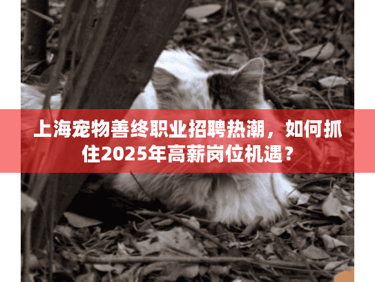 上海宠物善终职业招聘热潮，如何抓住2025年高薪岗位机遇？