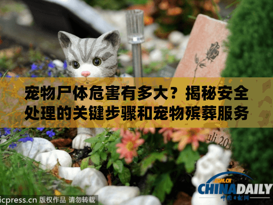 宠物尸体危害有多大？揭秘安全处理的关键步骤和宠物殡葬服务必要性