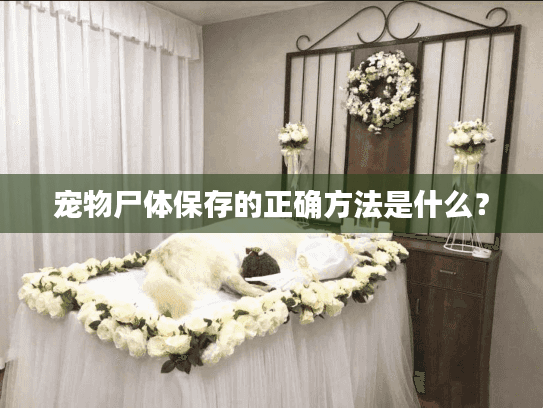 宠物尸体保存的正确方法是什么？