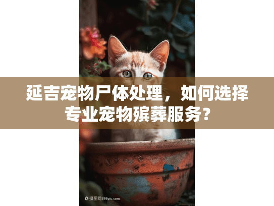 延吉宠物尸体处理，如何选择专业宠物殡葬服务？