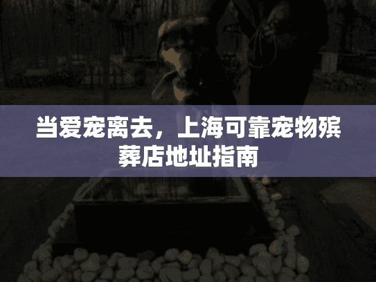 当爱宠离去，上海可靠宠物殡葬店地址指南