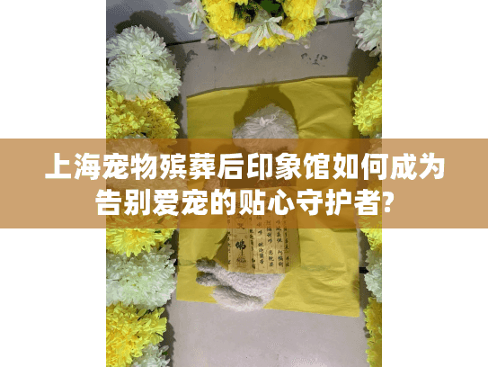 上海宠物殡葬后印象馆如何成为告别爱宠的贴心守护者?