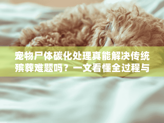 宠物尸体碳化处理真能解决传统殡葬难题吗?一文看懂全过程与环保优势 宠物尸体碳化处理真能解决传统殡葬难题吗?一文看懂全过程与环保优势