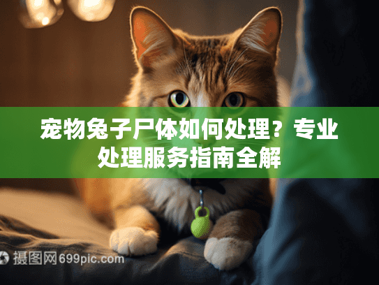 宠物兔子尸体如何处理？专业处理服务指南全解