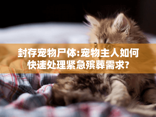 封存宠物尸体:宠物主人如何快速处理紧急殡葬需求?