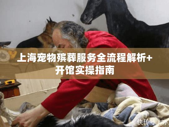 上海宠物殡葬服务全流程解析+开馆实操指南