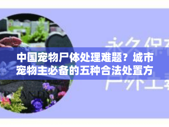 中国宠物尸体处理难题？城市宠物主必备的五种合法处置方案
