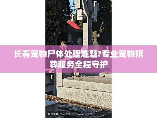 长春宠物尸体处理难题?专业宠物殡葬服务全程守护