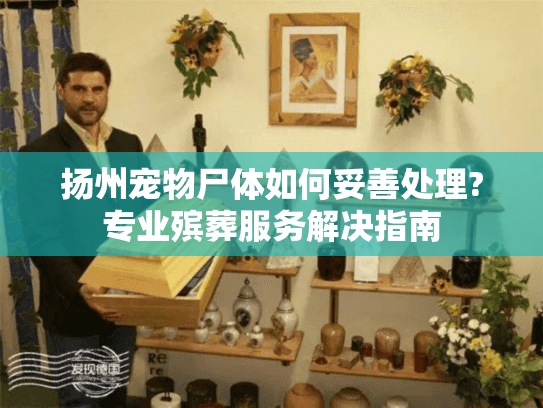 扬州宠物尸体如何妥善处理?专业殡葬服务解决指南