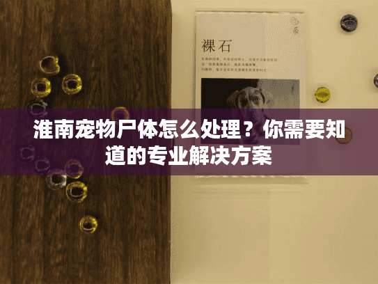 淮南宠物尸体怎么处理？你需要知道的专业解决方案