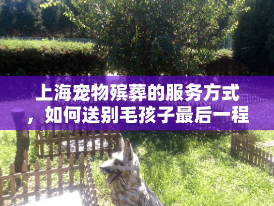 上海宠物殡葬的服务方式，如何送别毛孩子最后一程才安心？