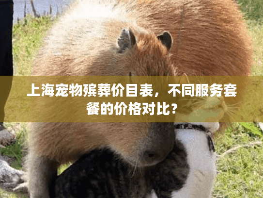 上海宠物殡葬价目表，不同服务套餐的价格对比？