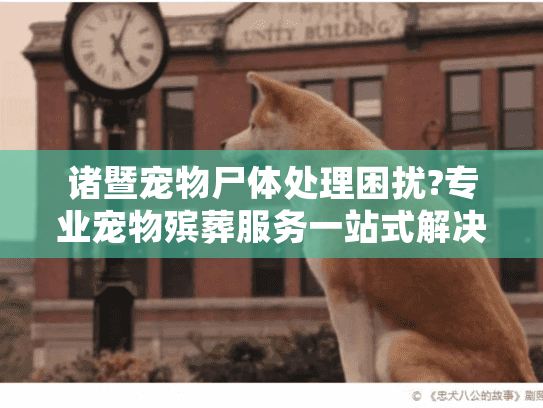 诸暨宠物尸体处理困扰?专业宠物殡葬服务一站式解决方案