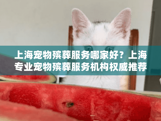 上海宠物殡葬服务哪家好？上海专业宠物殡葬服务机构权威推荐