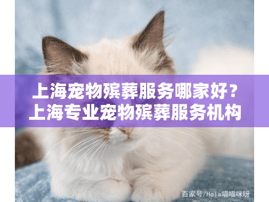 上海宠物殡葬服务哪家好？上海专业宠物殡葬服务机构权威推荐