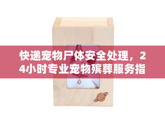 快递宠物尸体安全处理，24小时专业宠物殡葬服务指南