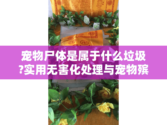 宠物尸体是属于什么垃圾?实用无害化处理与宠物殡葬服务指南
