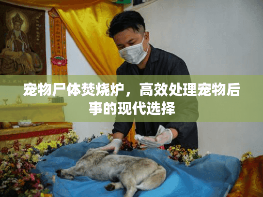宠物尸体焚烧炉,高效处理宠物后事的现代选择 宠物尸体焚烧炉,高效处理宠物后事的现代选择