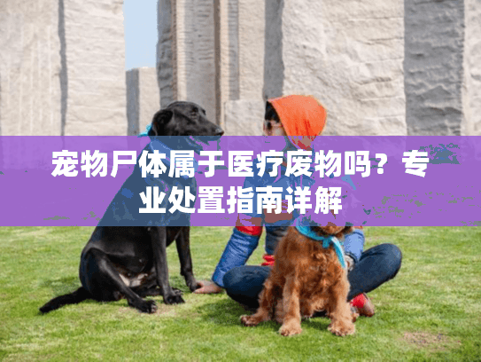 宠物尸体属于医疗废物吗？专业处置指南详解