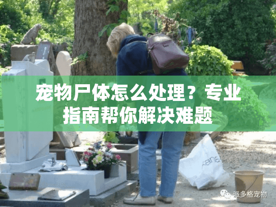宠物尸体怎么处理？专业指南帮你解决难题