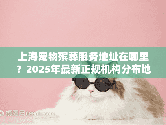 上海宠物殡葬服务地址在哪里？2025年最新正规机构分布地图