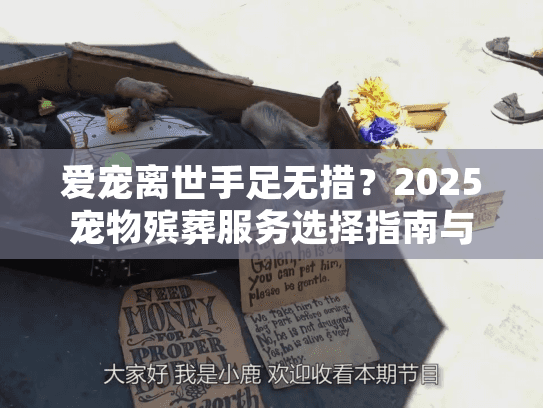 爱宠离世手足无措？2025宠物殡葬服务选择指南与心路陪伴