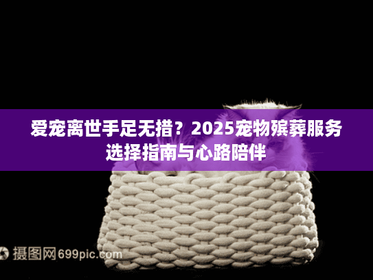 爱宠离世手足无措？2025宠物殡葬服务选择指南与心路陪伴