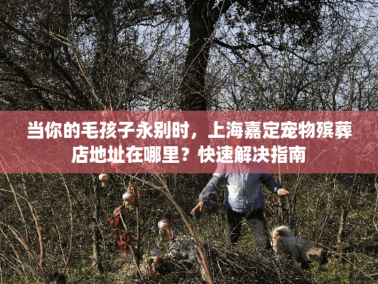 当你的毛孩子永别时，上海嘉定宠物殡葬店地址在哪里？快速解决指南