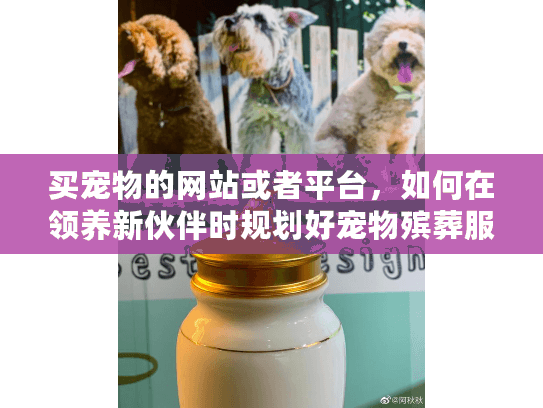 买宠物的网站或者平台，如何在领养新伙伴时规划好宠物殡葬服务？
