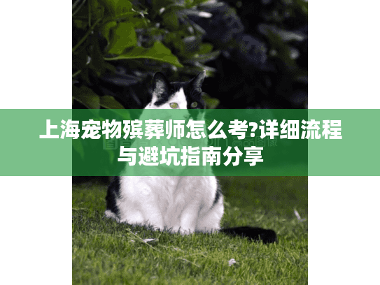 上海宠物殡葬师怎么考?详细流程与避坑指南分享