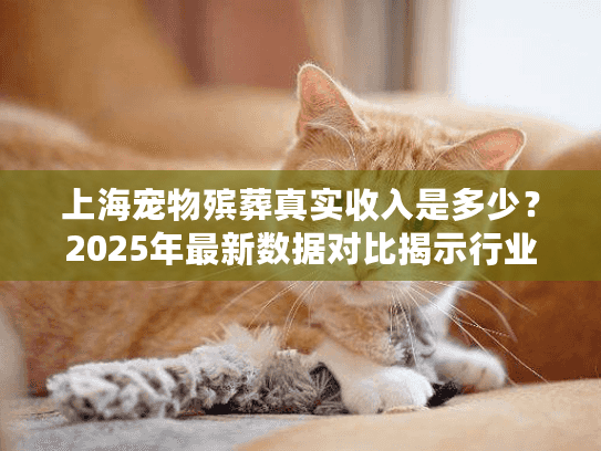 上海宠物殡葬真实收入是多少？2025年最新数据对比揭示行业真相