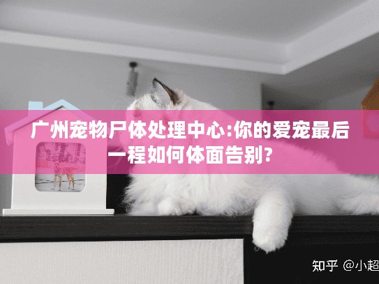 广州宠物尸体处理中心:你的爱宠最后一程如何体面告别? 广州宠物尸体处理中心:你的爱宠最后一程如何体面告别?