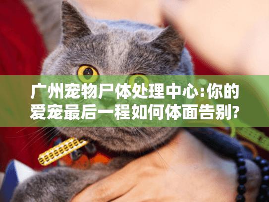 广州宠物尸体处理中心:你的爱宠最后一程如何体面告别? 广州宠物尸体处理中心:你的爱宠最后一程如何体面告别?