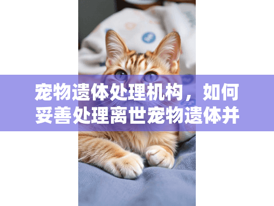 宠物遗体处理机构，如何妥善处理离世宠物遗体并找到可靠服务？