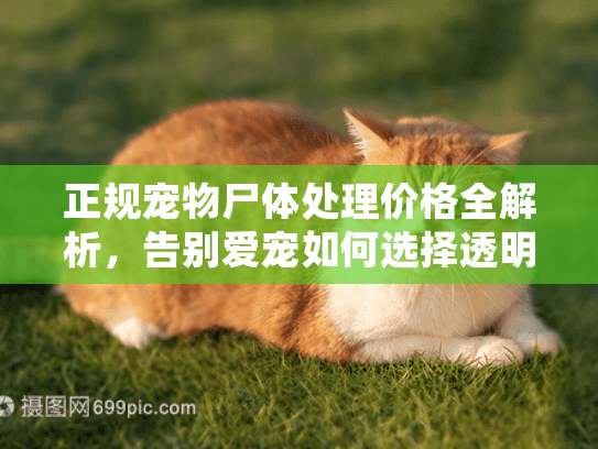 正规宠物尸体处理价格全解析，告别爱宠如何选择透明合理的善终服务？