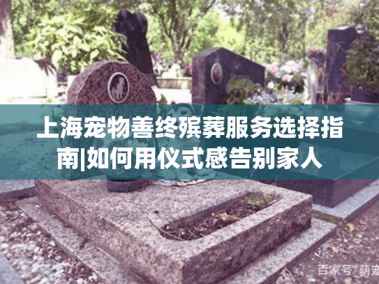 上海宠物善终殡葬服务选择指南|如何用仪式感告别家人